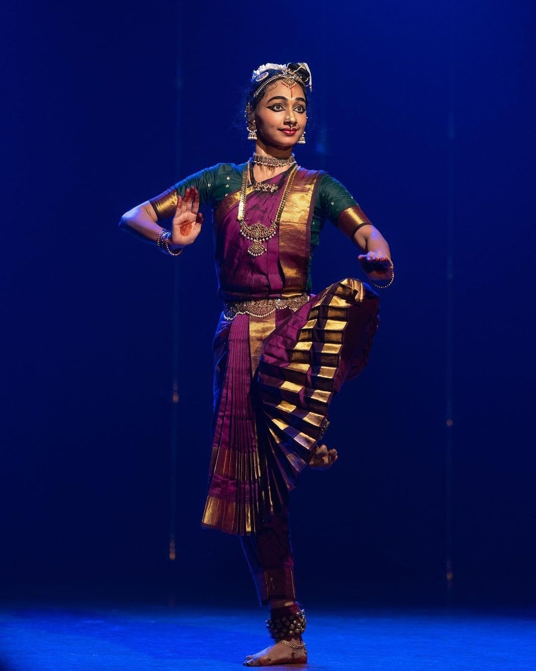 Wine & Olive Bharatanatyam Costume - We Dress
